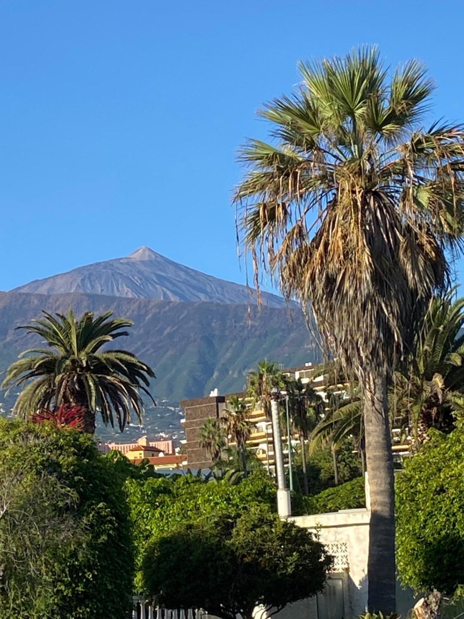 Villa Oasis La Paz - Pelinor Studio - Adults Only Пуерто де ла Крус Екстериор снимка
